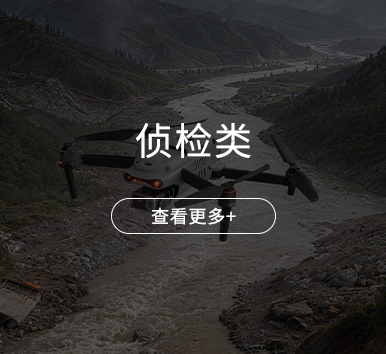 侦检类