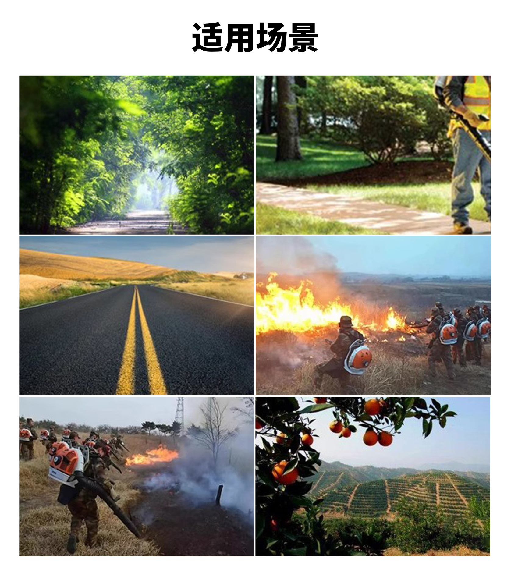 斯蒂尔吹风机（一机多用）(图2)