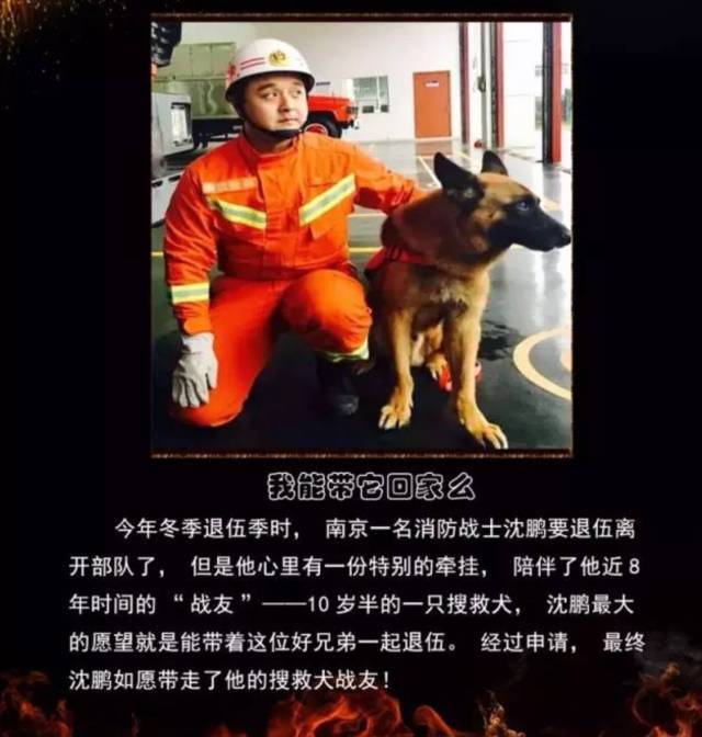 浴火重生的逆行者，肌肉越大责任越大，这才是真汉子——中国消防员(图23)