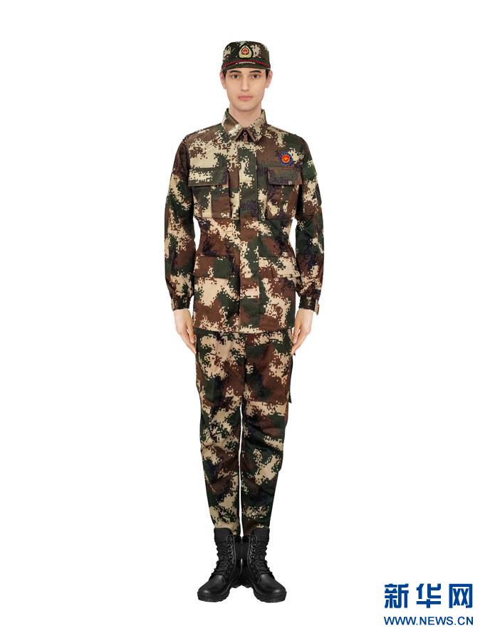 国家消防救援队伍过渡期身份标识牌发布(图3)