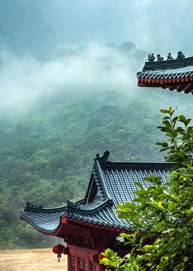 今日大暑丨迎风沐雨，憧憬未来(图3)