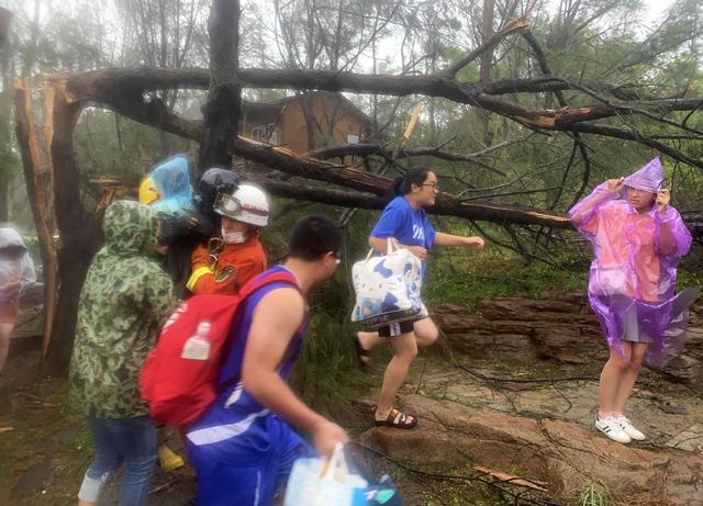 台风“米克拉”登陆福建漳浦 景区树倒游客被困(图3)