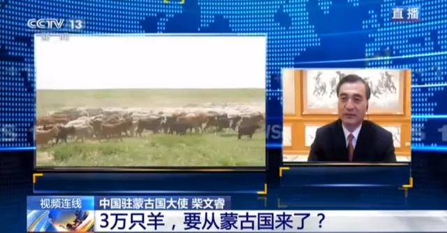 蒙古国送的3万只羊会变成羊肉 吃货网友：准备好了(图2)